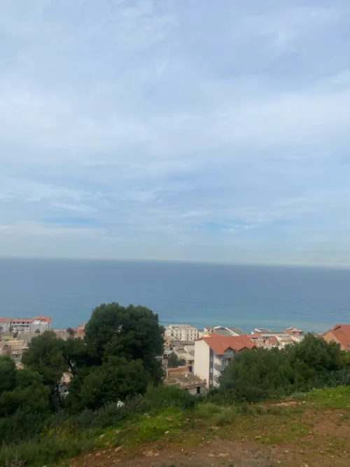 Vente Terrain Tipaza Ain tagourait