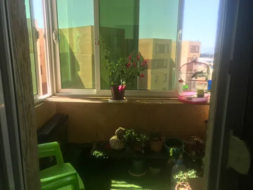 Location Appartement F4 Alger Zeralda