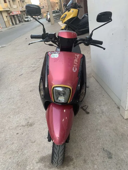 Cuxi Cuxi 2 2020