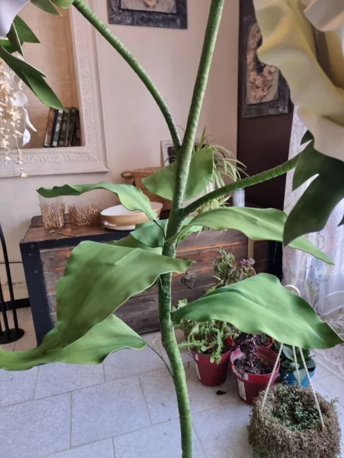 Décoration fleural 