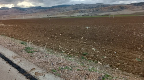 Vente Terrain Agricole Médéa Medjebar