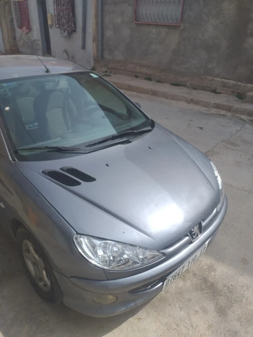 Peugeot 206 Sedan 2010 206 Sedan