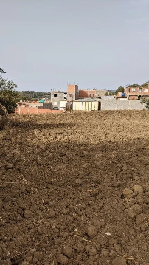 Vente Terrain Boumerdes Corso