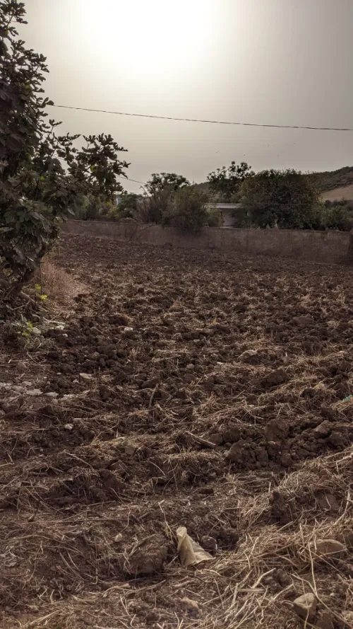 Vente Terrain Boumerdes Corso