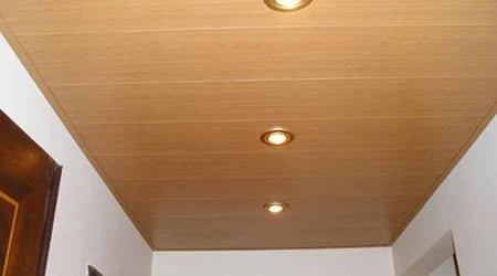 Installation Faux Plafond PVC Et Placoplatre BA13