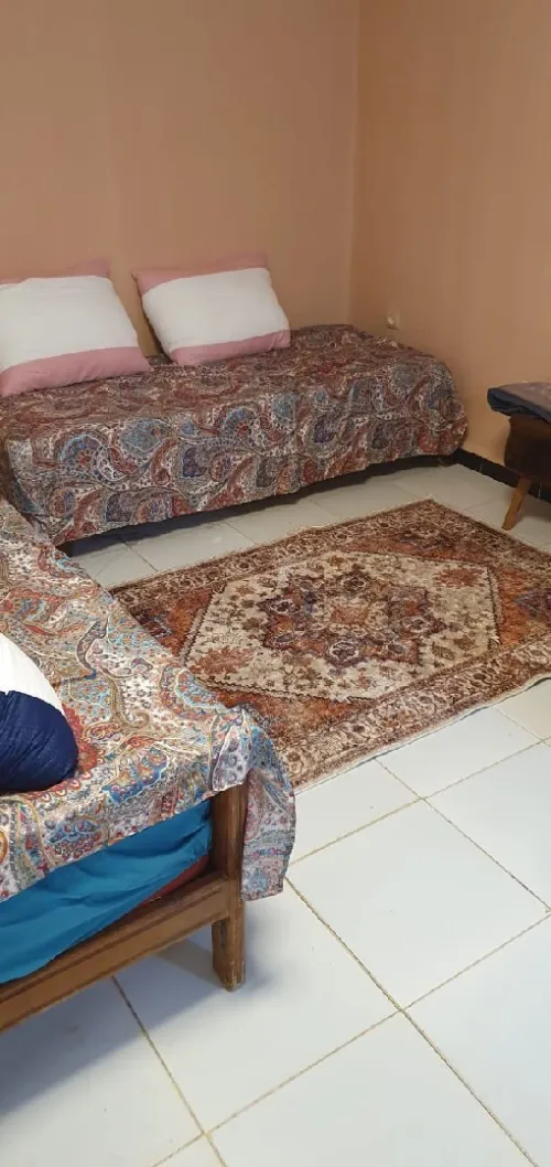 Location Appartement Alger Cheraga