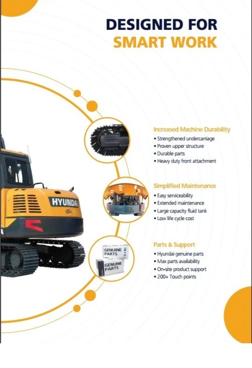 Hyundai PELLE 8 TONNES 2024