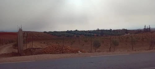 Vente Terrain Agricole Tlemcen Sabra