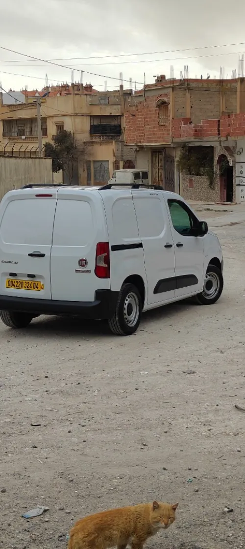 Fiat Doblo 2024 Italy
