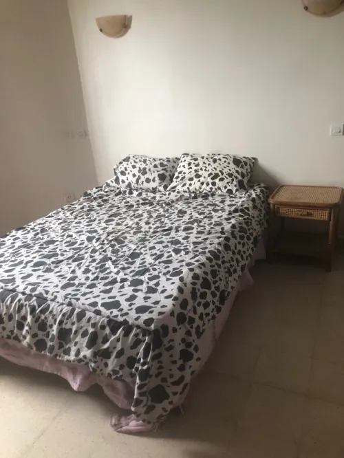 Vente Appartement F2 Alger Zeralda