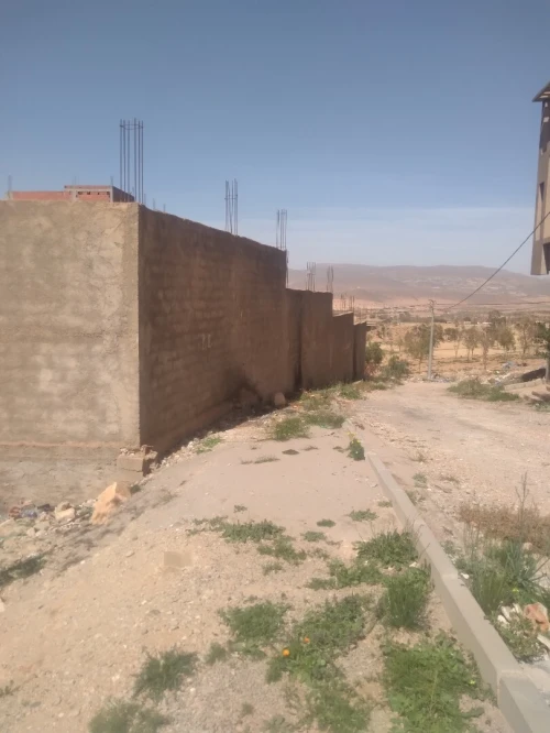 Vente Terrain Tlemcen Maghnia