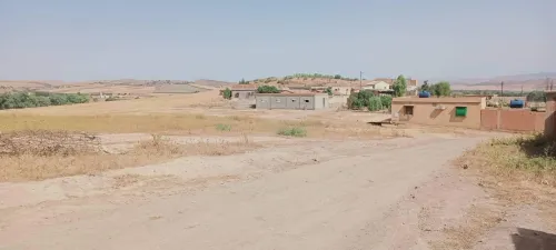 Vente Terrain Chlef Harchoun