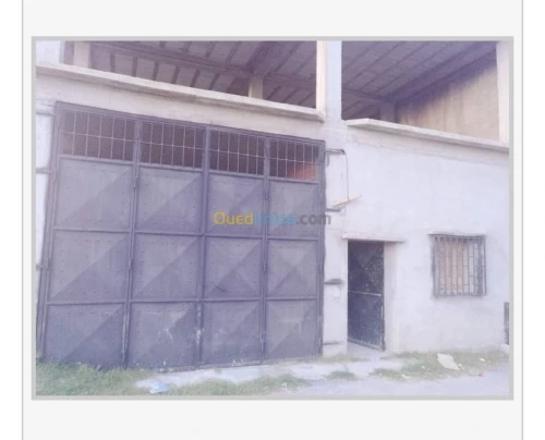 Vente Terrain Blida Beni mered