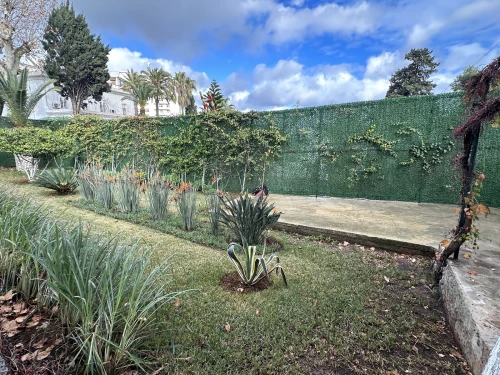 Vente Villa Alger El biar