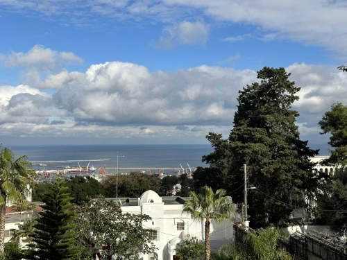 Location Villa Alger El biar