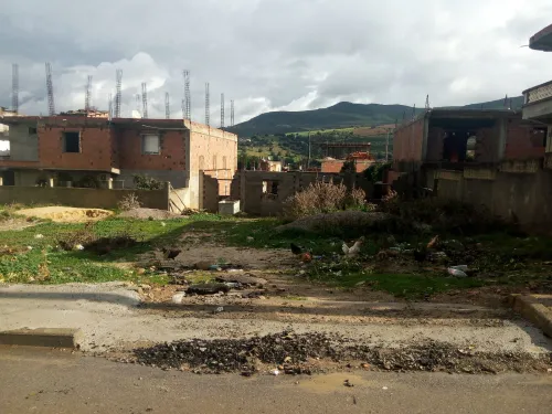 Vente Terrain Guelma Bouati mahmoud