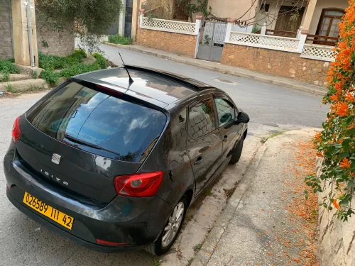 Seat Ibiza 2011 Loca