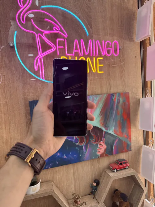 Vivo Vivo x100 pro