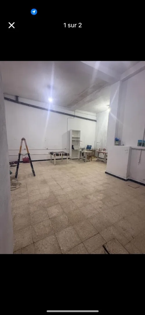 Location Local Tipaza Kolea