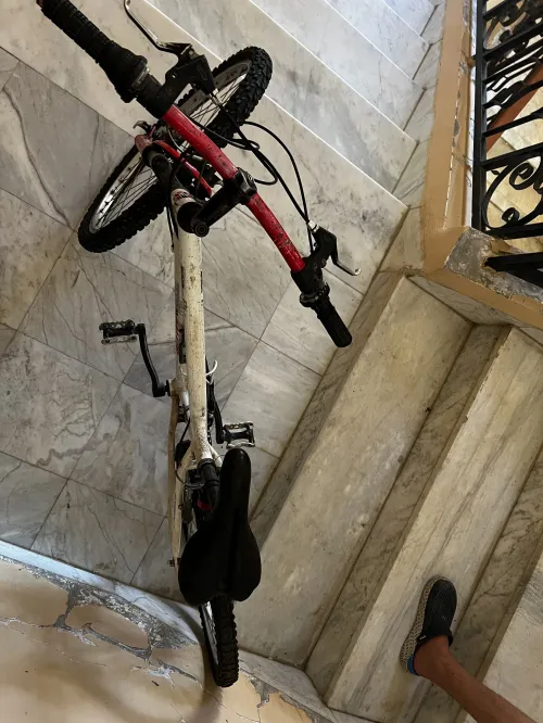 Nakamora falcon velo 24inch