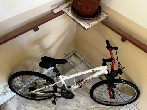 Nakamora falcon velo 24inch