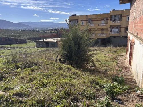 Vente Terrain Jijel Taher