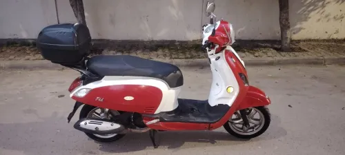 Sym Fiddel 2019