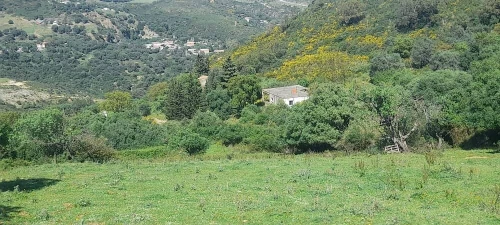 Vente Terrain Annaba Annaba