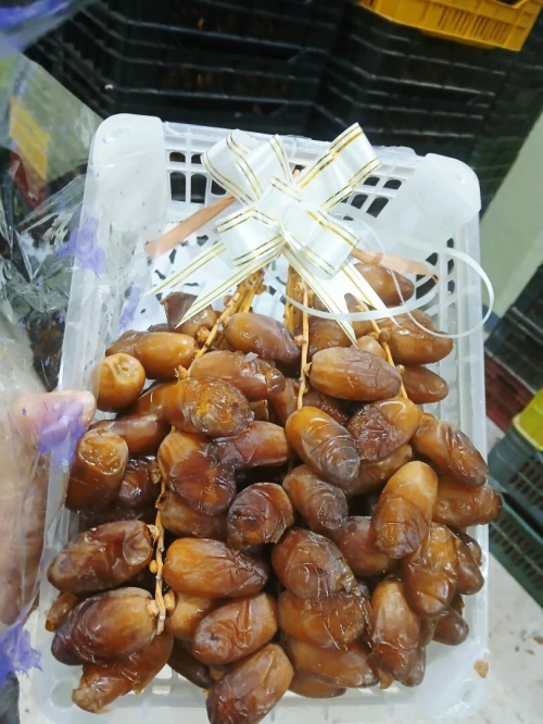 دقلة نور