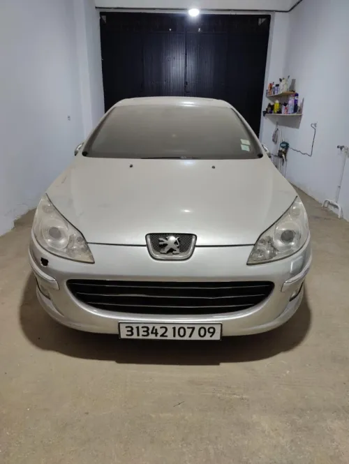 Peugeot 407 2007 407