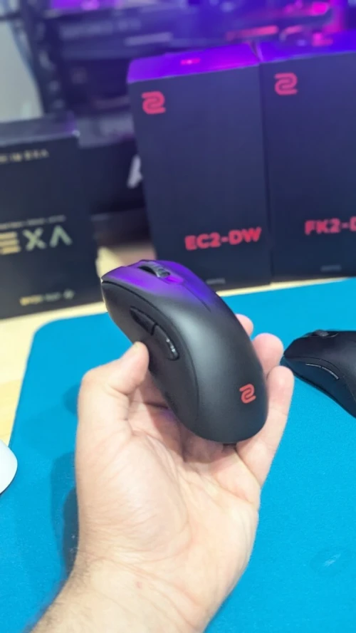 BenQ Zowie EC2-DW 4K Hz (Noir) Used
