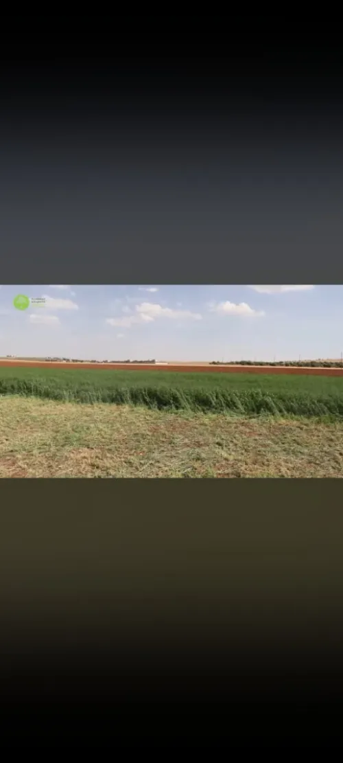 Vente Terrain Agricole Médéa Beni slimane