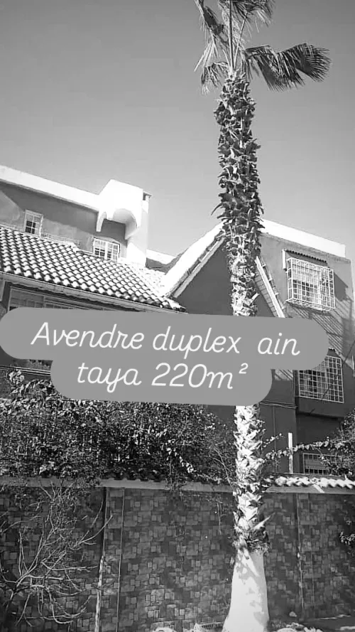 Vente Duplex F8 Alger Ain taya