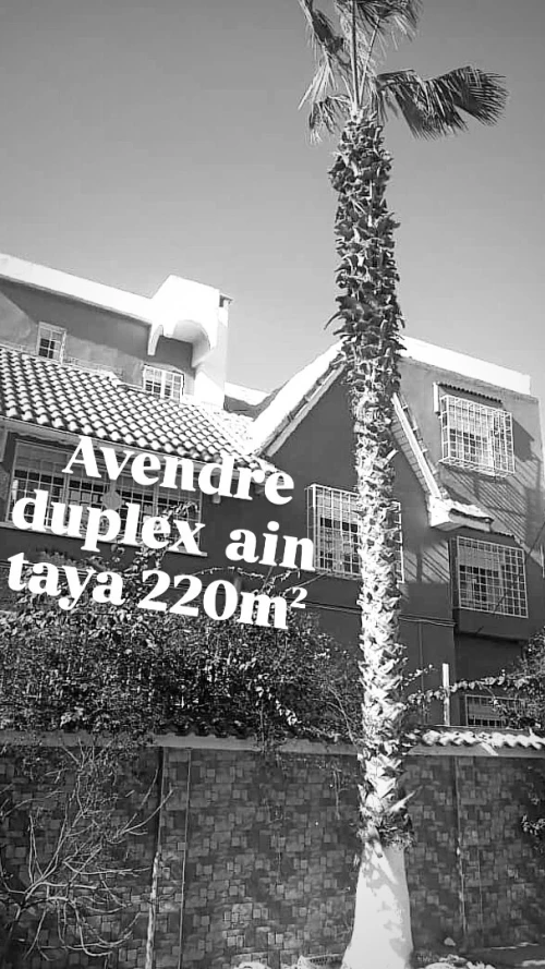 Vente Duplex F8 Alger Ain taya