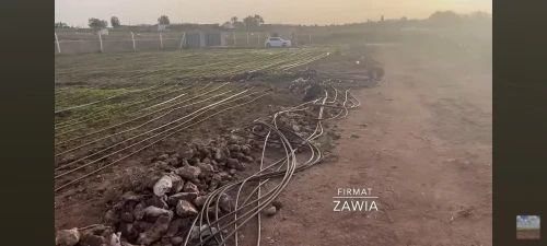 Vente Terrain Agricole Djelfa Bouira lahdab