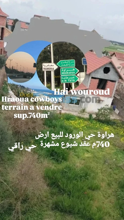 Vente Terrain Alger Hraoua