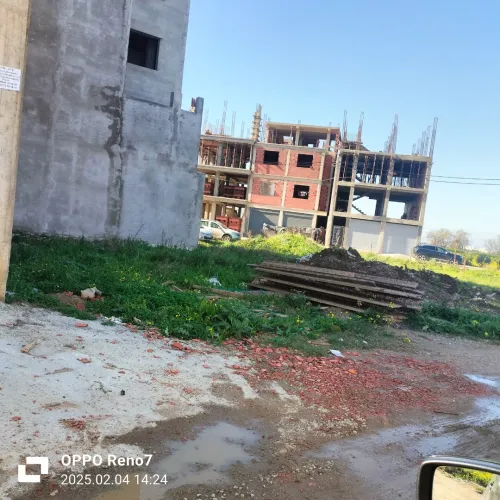 Vente Terrain Boumerdès Ouled hedadj