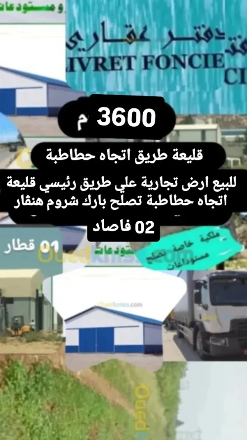 Vente Terrain Agricole F5 Tipaza Attatba