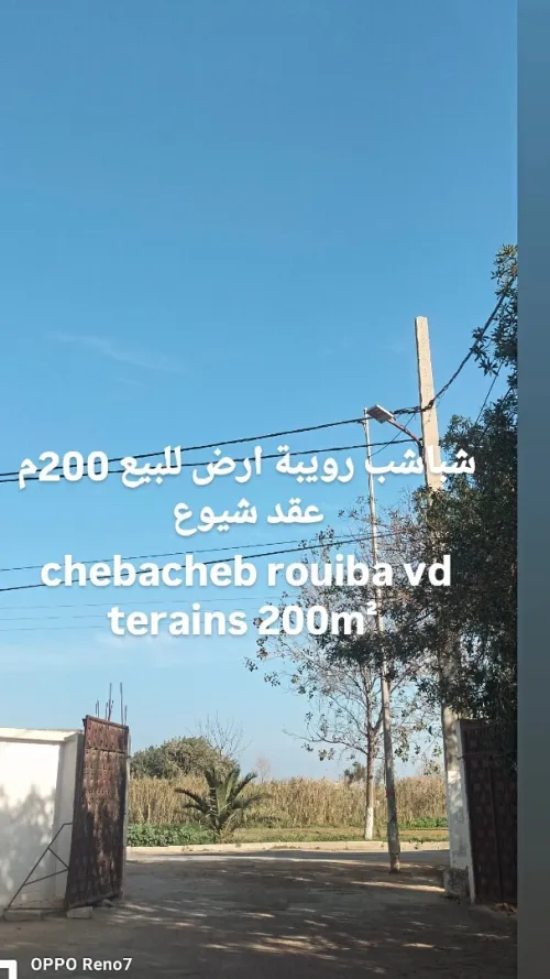 Vente Terrain Alger Rouiba