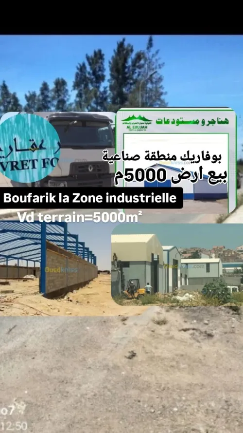 Vente Terrain F3 Blida Boufarik