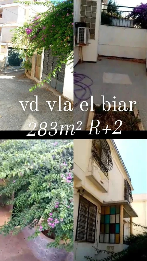 Vente Villa Alger El biar