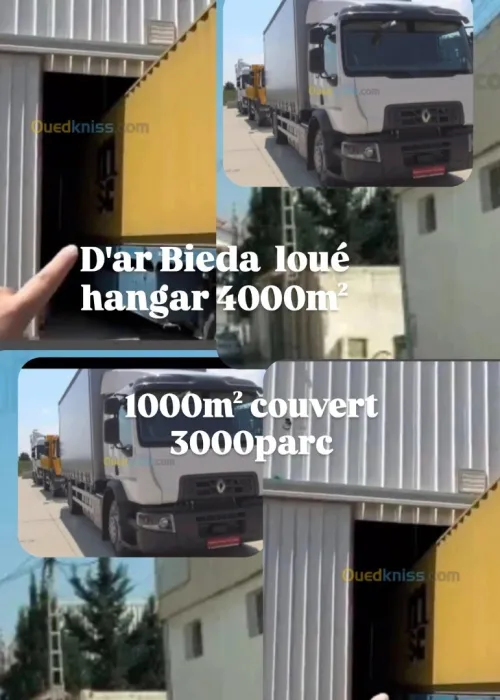 Location Hangar - Usine Alger Dar el beida