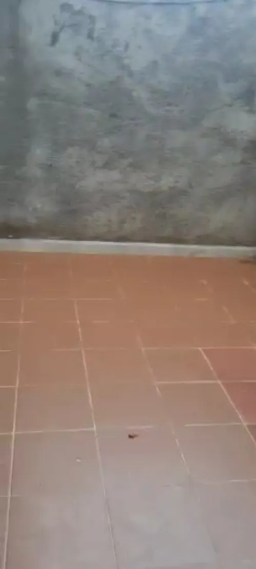 Location Appartement Niveau de villa F3 Alger Bordj el bahri