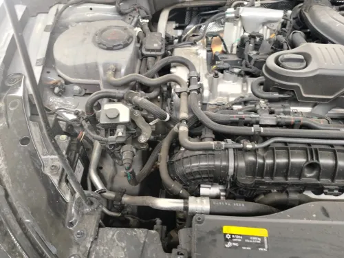 Volkswagen Golf 8 2026 R-Line