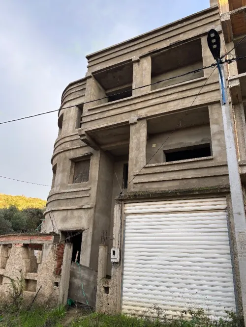 Vente Villa Skikda El Hadaiek