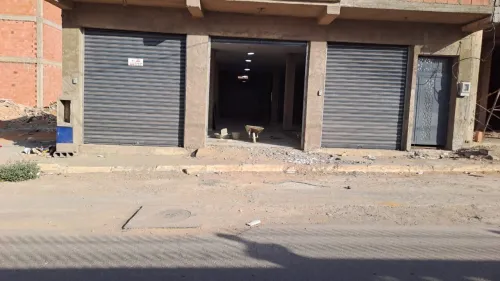 Location Local Oran Oued tlelat