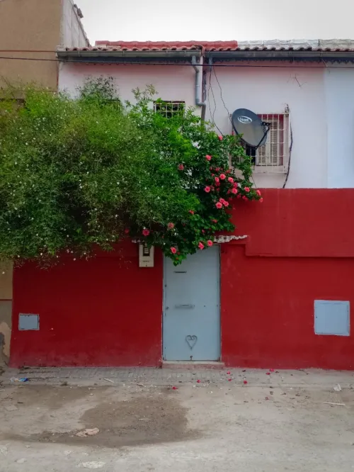 Vente Bungalow Bejaia Tichy