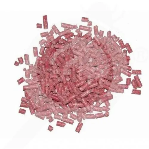 RATICIDE RODEX SOURIS RAT