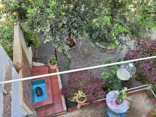Vente Villa Alger El mouradia