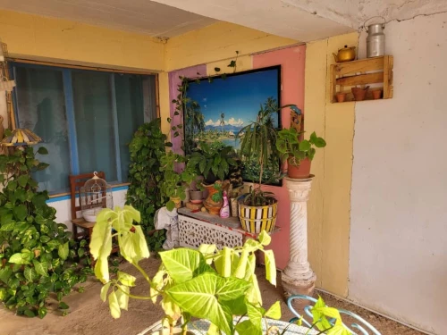 Vente Villa Alger El mouradia